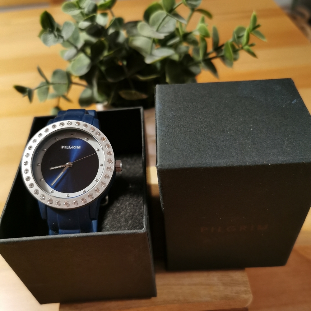 Pilgrim watch